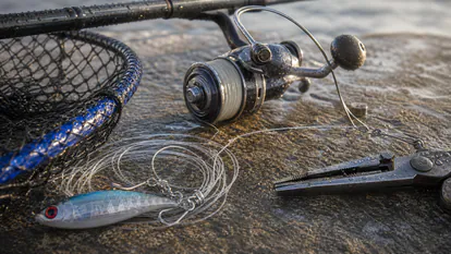 Detalle practico relacionado con pesca a la baila: 23 kilos en el espigón de un joven en huelva para comparar materiales, usos y puntos criticos.