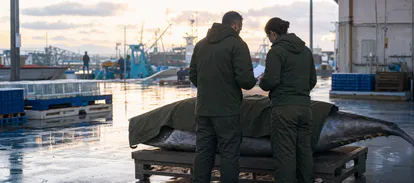 Agentes medioambientales revisando documentación junto a un atún intervenido en un puerto pesquero.