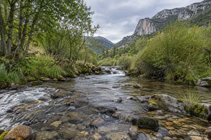 Arroyo de montaña de paisaje burgalés con cantos rodados y vegetación de ribera