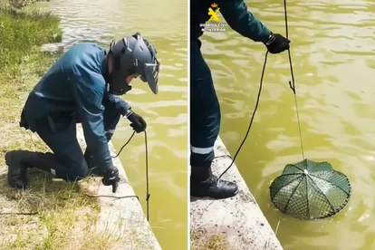 Ejemplo de butrón decomisado por las autoridades, trampa ilegal para captura de cangrejos.